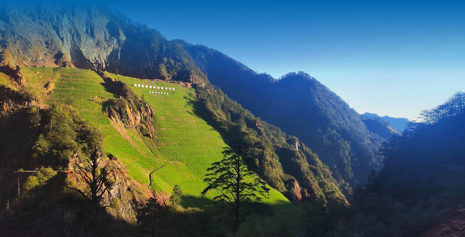 绘就“绿水青山就是金山银山”动人画卷