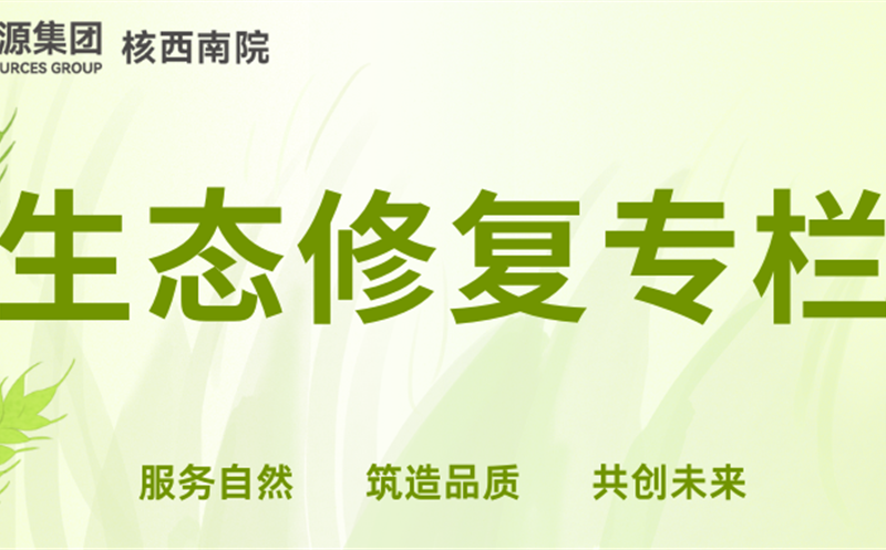 以技破难 以心筑安丨胡建的生态修复实干之路