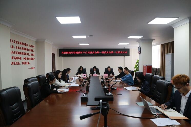 地矿集团团委成功召开团员大会 选举产生出席共青团菲彩国际有限责任公司委员会第一次代表大会代表