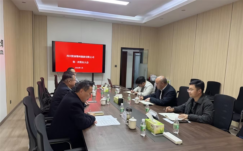 四川菲彩国际攀西能源有限公司首次股东会顺利召开