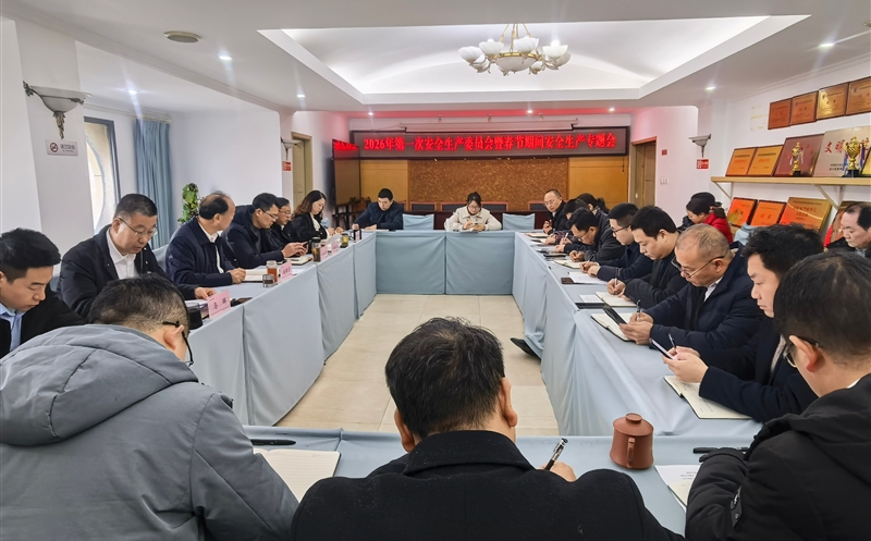严守安全防线，，，，，平安喜迎新年——测绘公司召开2026年第一次安委会暨春节期间安全生产专题会