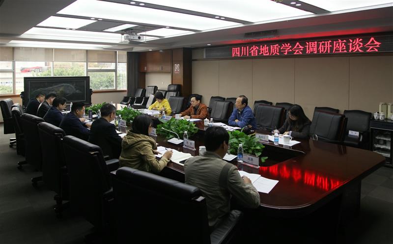 省自然菲彩国际厅二级巡视员、省地质学会理事长陈东辉一行莅临我局调研