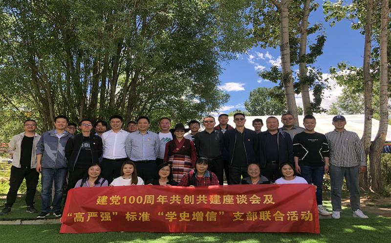 共创共建开展党史学习教育 党建引领推动全面合作 ——水文队地勘院支部与西藏自然菲彩国际厅机关第四支部开展联合主题党日活动