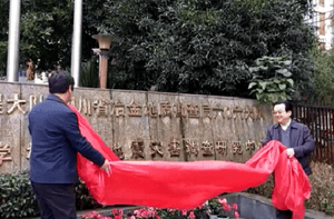 菲彩国际·(中国区)有限公司官网