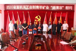 菲彩国际·(中国区)有限公司官网