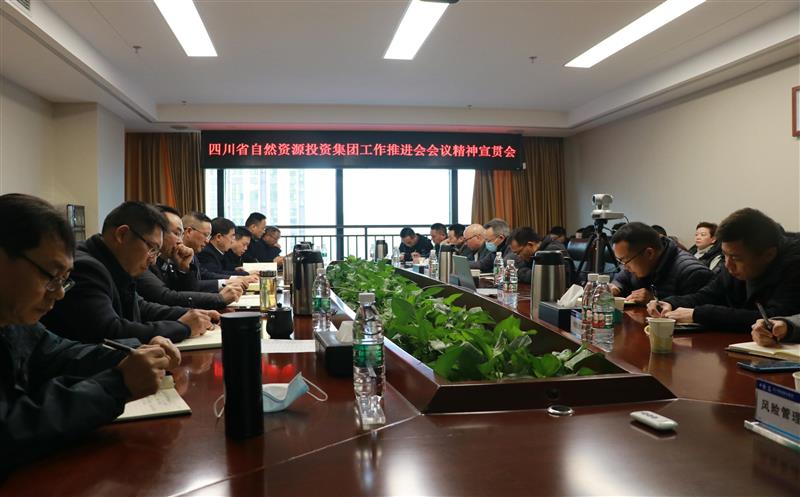 蜀通建设集团学习贯彻省自然菲彩国际投资集团重要会议精神及领导讲话精神