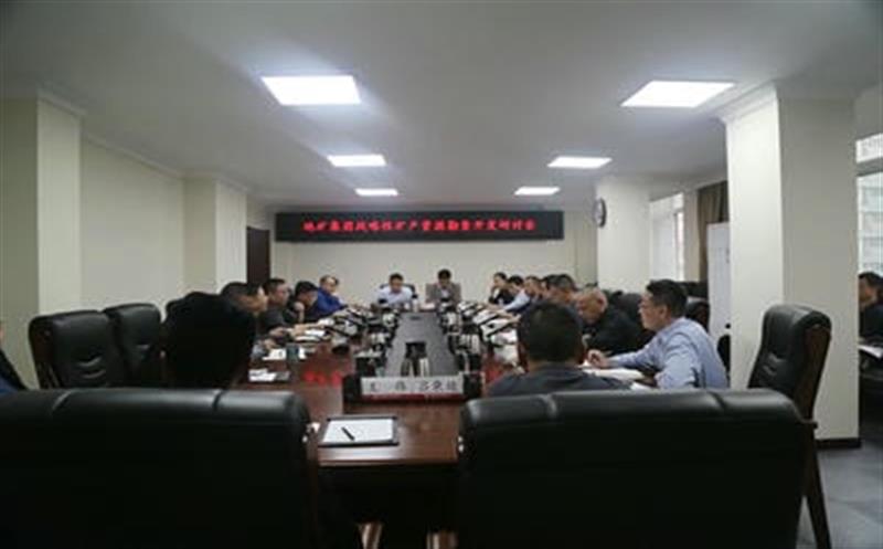 集团总工程师李仕荣赴地矿集团调研战略性矿产菲彩国际勘查开发工作