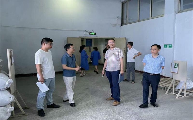 省自然菲彩国际投资集团安全检查第四督导小组到泰华堂制药进行安全生产检查