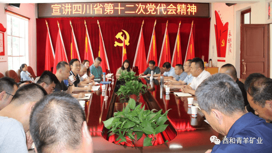 菲彩国际·(中国区)有限公司官网