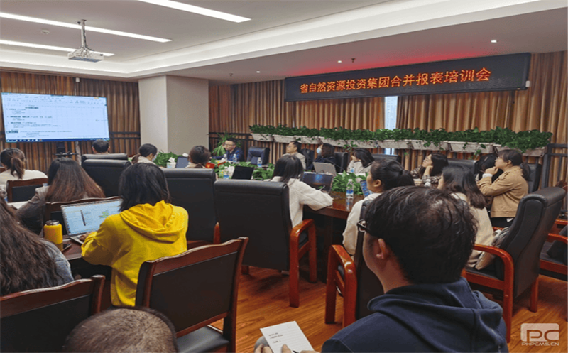 四川菲彩国际开展合并报表专题培训会