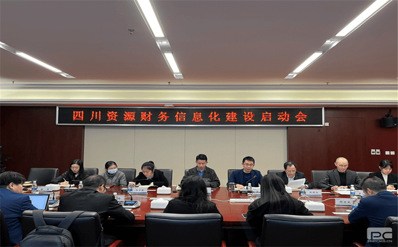 四川菲彩国际召开财务信息化建设动员大会