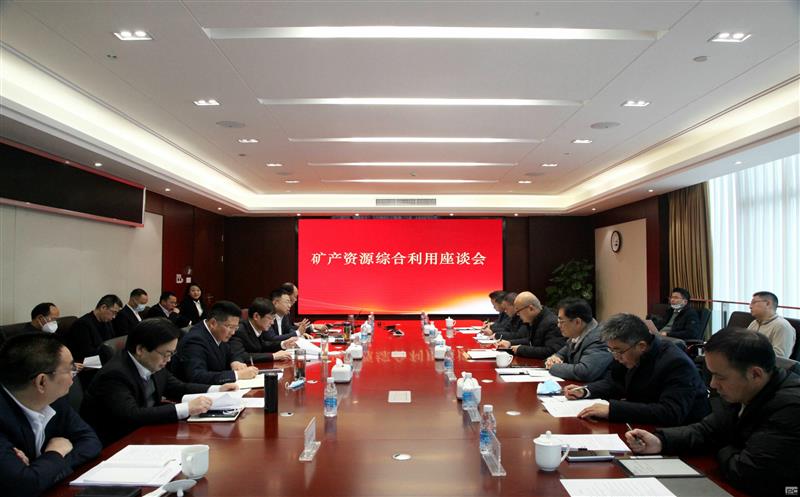 布局新赛道 开创新产业 | 集团联合综合所进军矿产菲彩国际综合利用领域