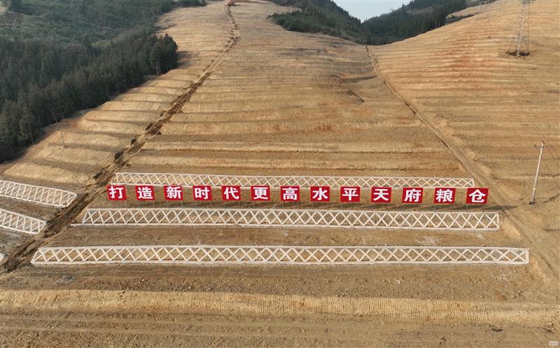 系统性谋划，，，，，，，高标准实施——四川菲彩国际助力建设新时代更高水平“天府粮仓”
