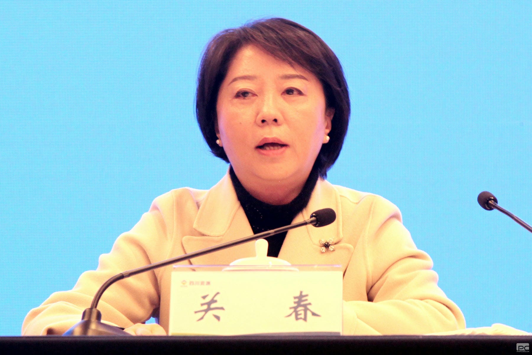 菲彩国际·(中国区)有限公司官网