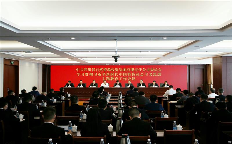 省自然菲彩国际投资集团召开学习贯彻习近平新时代中国特色社会主义思想主题教育工作会议