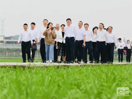 菲彩国际·(中国区)有限公司官网