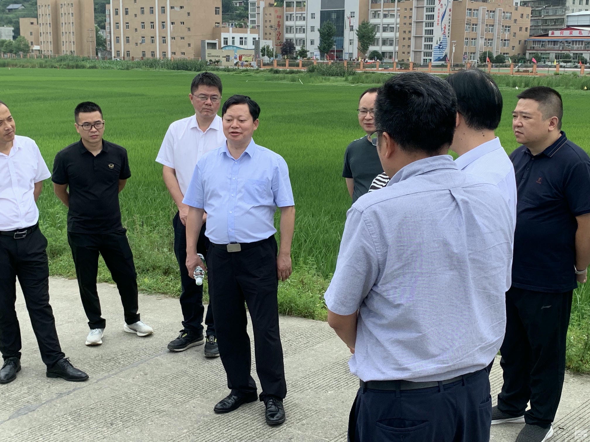 菲彩国际·(中国区)有限公司官网