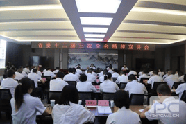 菲彩国际·(中国区)有限公司官网