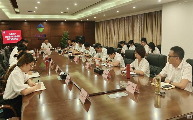 金海？？？？蟛倏2023年半年工作会