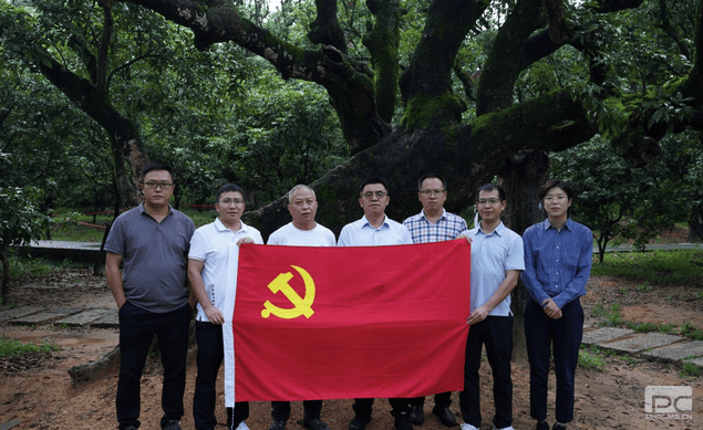菲彩国际·(中国区)有限公司官网