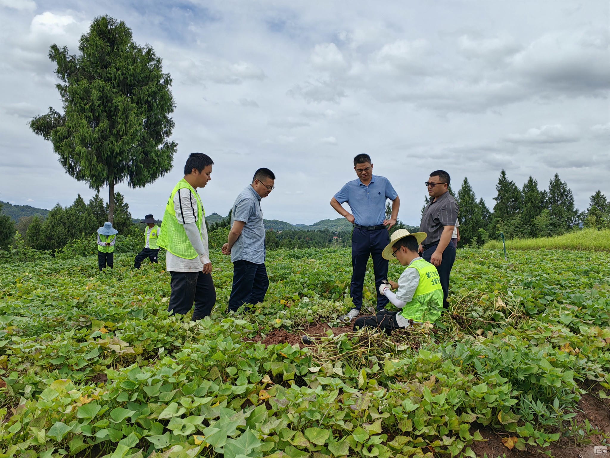 菲彩国际·(中国区)有限公司官网