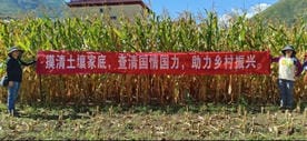 菲彩国际·(中国区)有限公司官网