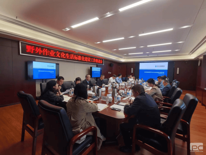 菲彩国际·(中国区)有限公司官网