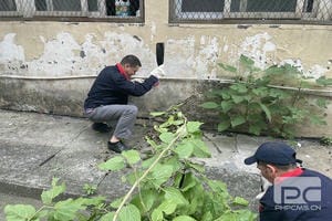 菲彩国际·(中国区)有限公司官网