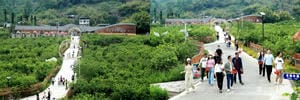 菲彩国际·(中国区)有限公司官网