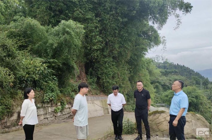 菲彩国际·(中国区)有限公司官网