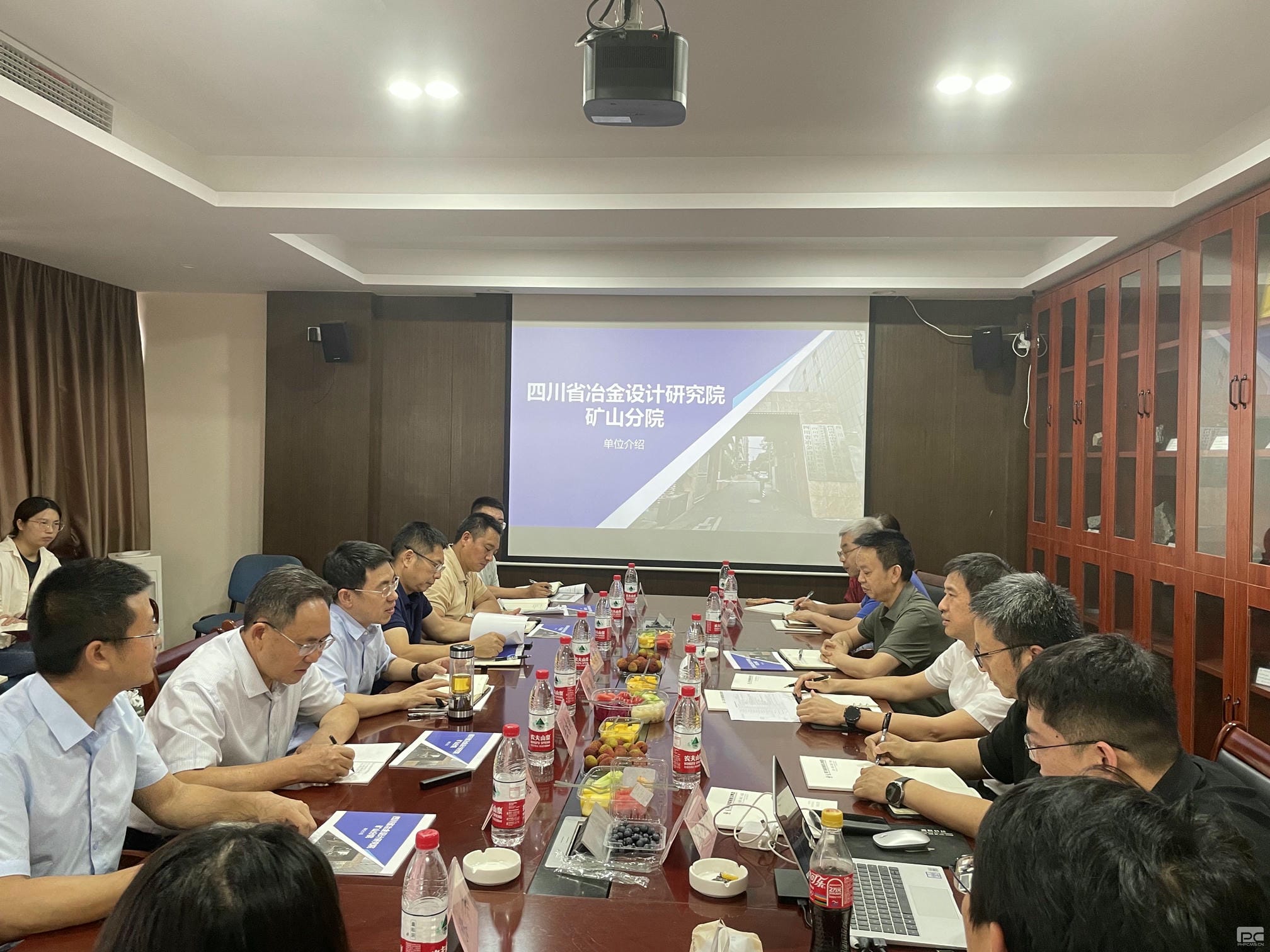 菲彩国际·(中国区)有限公司官网