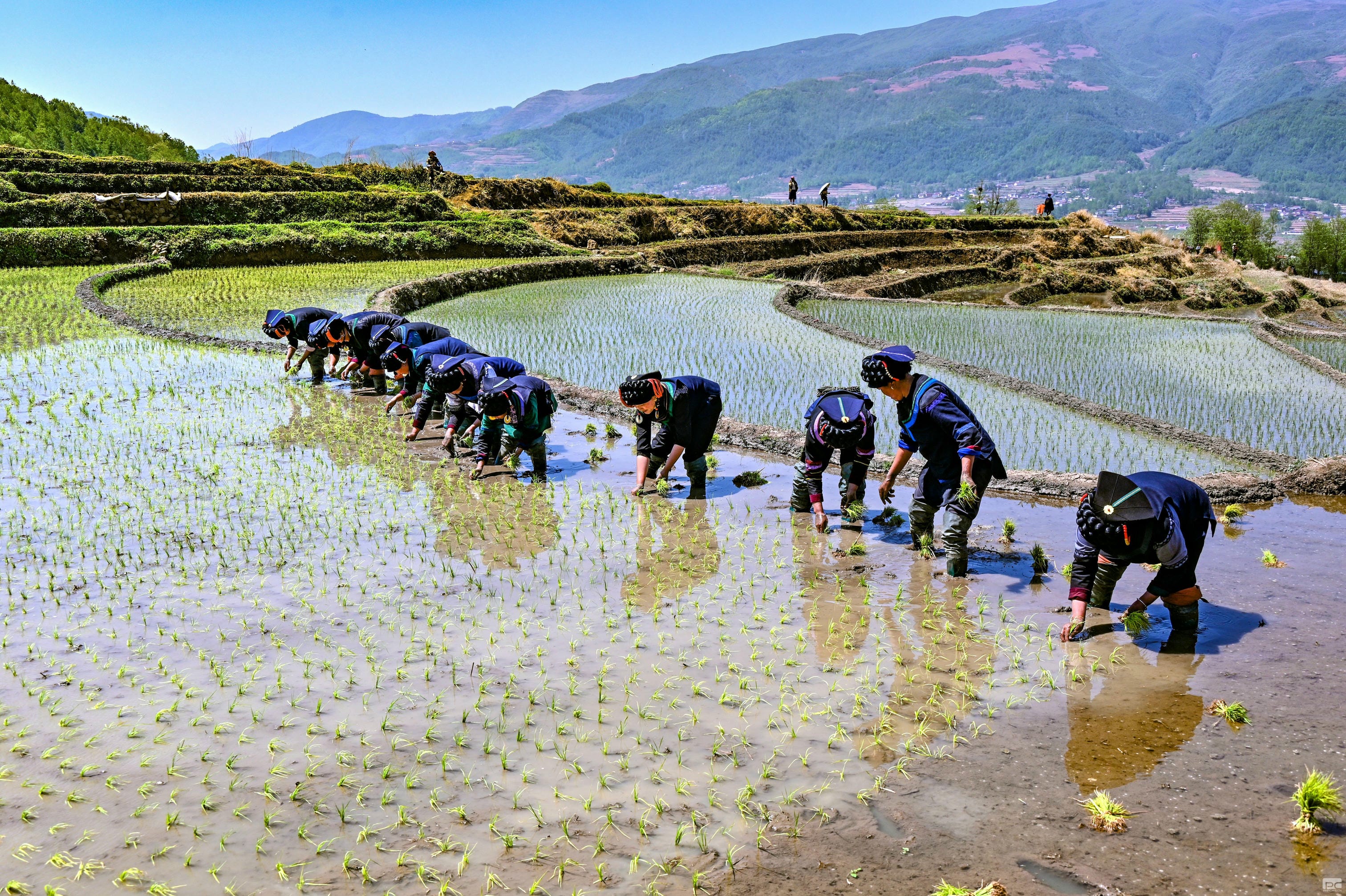菲彩国际·(中国区)有限公司官网