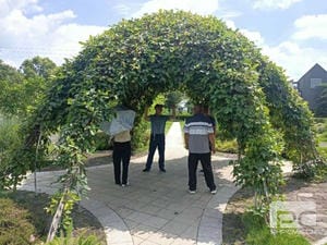 菲彩国际·(中国区)有限公司官网