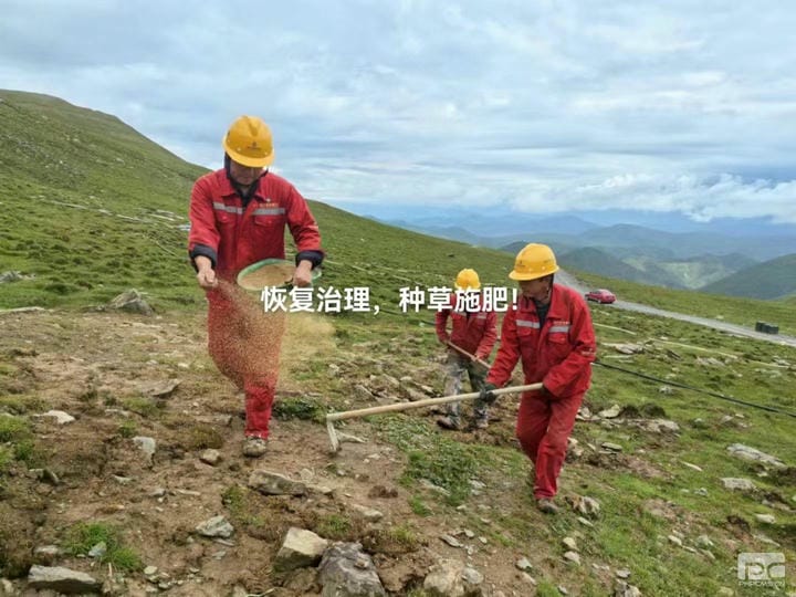 菲彩国际·(中国区)有限公司官网