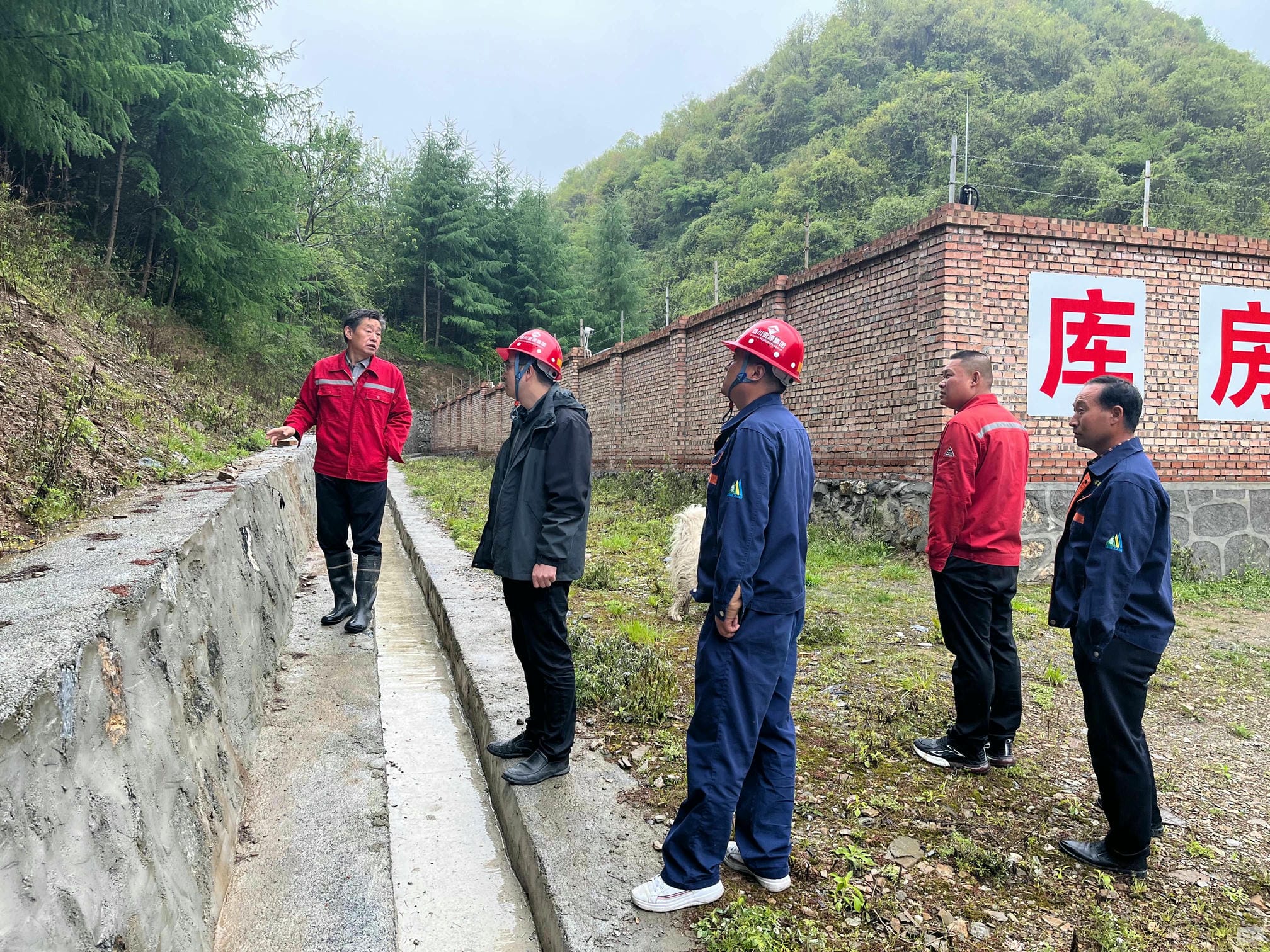菲彩国际·(中国区)有限公司官网