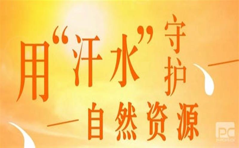 直面“烤”验 菲彩国际有我（一）