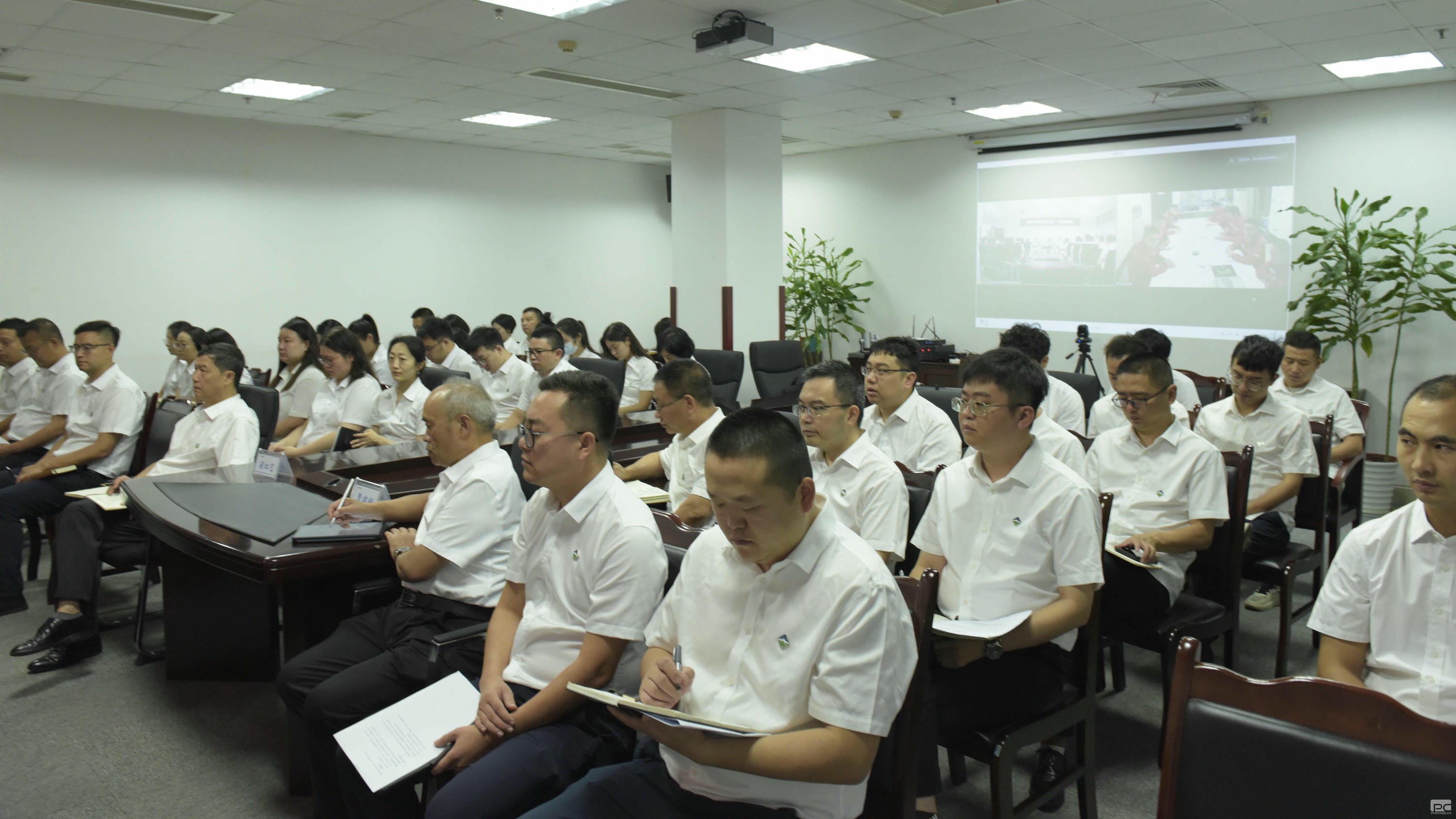 菲彩国际·(中国区)有限公司官网
