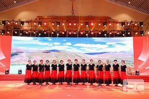 菲彩国际·(中国区)有限公司官网
