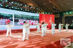 菲彩国际·(中国区)有限公司官网