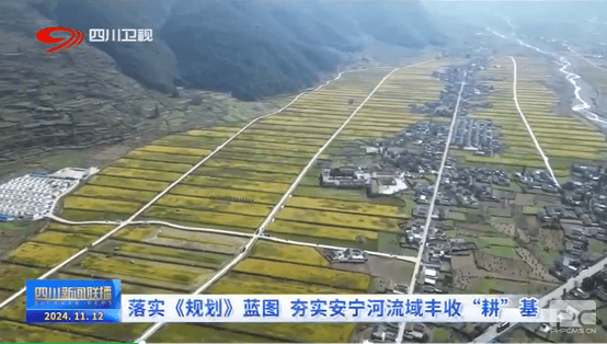 菲彩国际·(中国区)有限公司官网