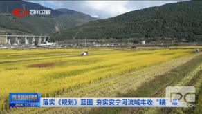 菲彩国际·(中国区)有限公司官网