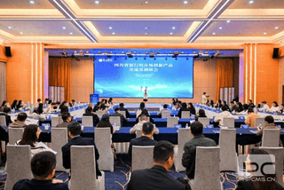 菲彩国际·(中国区)有限公司官网