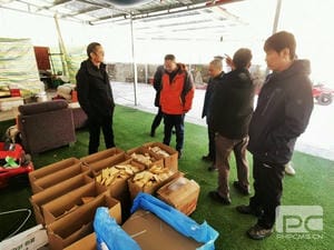 菲彩国际·(中国区)有限公司官网